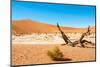 Dead Vlei Trees-milosk50-Mounted Photographic Print