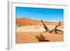 Dead Vlei Trees-milosk50-Framed Photographic Print