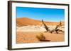 Dead Vlei Trees-milosk50-Framed Photographic Print