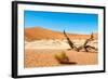 Dead Vlei Trees-milosk50-Framed Photographic Print