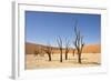 Dead Vlei Trees-null-Framed Photographic Print