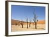 Dead Vlei Trees-null-Framed Photographic Print