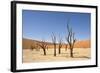 Dead Vlei Trees-null-Framed Photographic Print