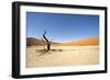 Dead Vlei Trees-null-Framed Photographic Print