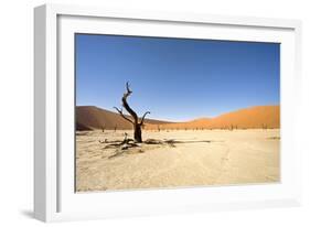 Dead Vlei Trees-null-Framed Photographic Print