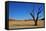 Dead Vlei-Driveout-Framed Stretched Canvas