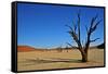 Dead Vlei-Driveout-Framed Stretched Canvas