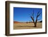 Dead Vlei-Driveout-Framed Photographic Print