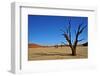 Dead Vlei-Driveout-Framed Photographic Print