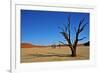 Dead Vlei-Driveout-Framed Photographic Print