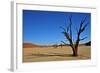 Dead Vlei-Driveout-Framed Photographic Print