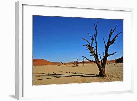 Dead Vlei-Driveout-Framed Photographic Print