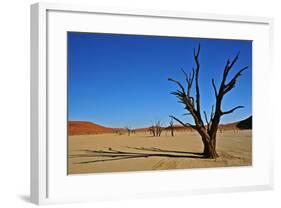 Dead Vlei-Driveout-Framed Photographic Print