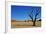 Dead Vlei-Driveout-Framed Photographic Print