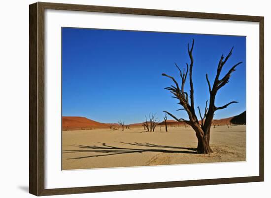 Dead Vlei-Driveout-Framed Photographic Print