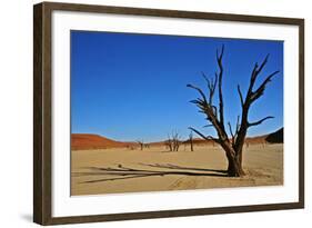 Dead Vlei-Driveout-Framed Photographic Print