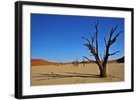 Dead Vlei-Driveout-Framed Photographic Print