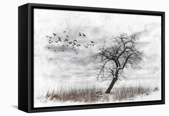 Dead Winter Tree 2-Ata Alishahi-Framed Stretched Canvas