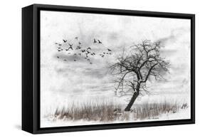 Dead Winter Tree 2-Ata Alishahi-Framed Stretched Canvas