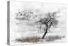 Dead Winter Tree 2-Ata Alishahi-Stretched Canvas
