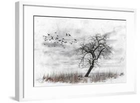 Dead Winter Tree 2-Ata Alishahi-Framed Giclee Print