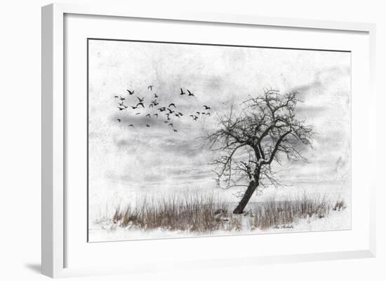 Dead Winter Tree 2-Ata Alishahi-Framed Giclee Print