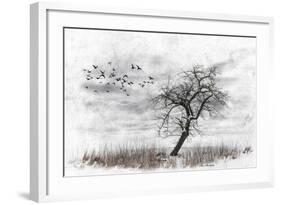 Dead Winter Tree 2-Ata Alishahi-Framed Giclee Print