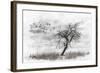 Dead Winter Tree 2-Ata Alishahi-Framed Giclee Print