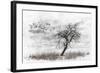 Dead Winter Tree 2-Ata Alishahi-Framed Giclee Print