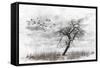 Dead Winter Tree 2-Ata Alishahi-Framed Stretched Canvas