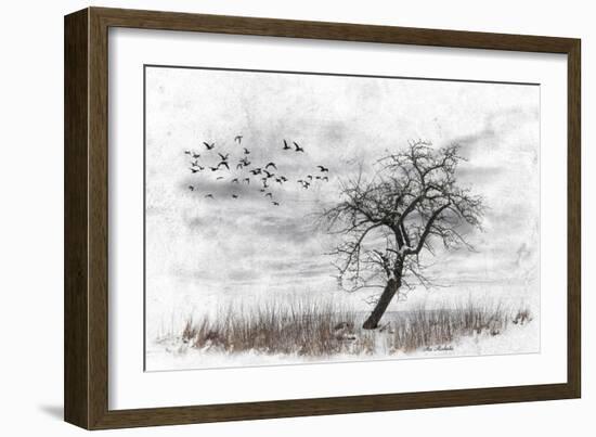 Dead Winter Tree 2-Ata Alishahi-Framed Giclee Print