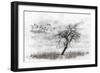 Dead Winter Tree 2-Ata Alishahi-Framed Giclee Print