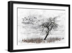 Dead Winter Tree 2-Ata Alishahi-Framed Giclee Print