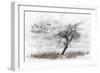 Dead Winter Tree 2-Ata Alishahi-Framed Giclee Print