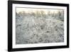 Dead Wood, El Chalten, Patagonia, Argentina, South America-Mark Chivers-Framed Photographic Print