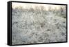 Dead Wood, El Chalten, Patagonia, Argentina, South America-Mark Chivers-Framed Stretched Canvas