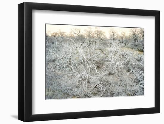 Dead Wood, El Chalten, Patagonia, Argentina, South America-Mark Chivers-Framed Photographic Print