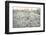 Dead Wood, El Chalten, Patagonia, Argentina, South America-Mark Chivers-Framed Photographic Print