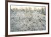 Dead Wood, El Chalten, Patagonia, Argentina, South America-Mark Chivers-Framed Photographic Print