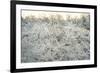 Dead Wood, El Chalten, Patagonia, Argentina, South America-Mark Chivers-Framed Photographic Print