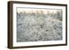 Dead Wood, El Chalten, Patagonia, Argentina, South America-Mark Chivers-Framed Photographic Print