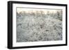 Dead Wood, El Chalten, Patagonia, Argentina, South America-Mark Chivers-Framed Photographic Print