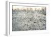 Dead Wood, El Chalten, Patagonia, Argentina, South America-Mark Chivers-Framed Photographic Print