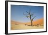 Dead Zone-F.C.G.-Framed Photographic Print