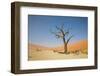 Dead Zone-F.C.G.-Framed Photographic Print