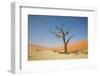 Dead Zone-F.C.G.-Framed Photographic Print