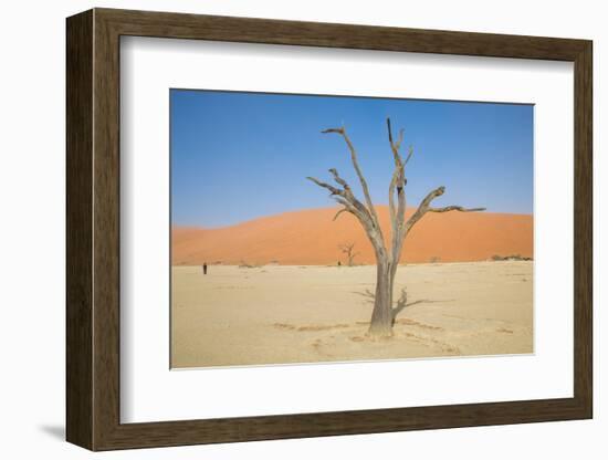 Dead Zone-F.C.G.-Framed Photographic Print