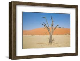 Dead Zone-F.C.G.-Framed Photographic Print