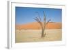 Dead Zone-F.C.G.-Framed Photographic Print