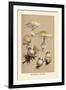 Deadly Amanita-William Hamilton Gibson-Framed Art Print